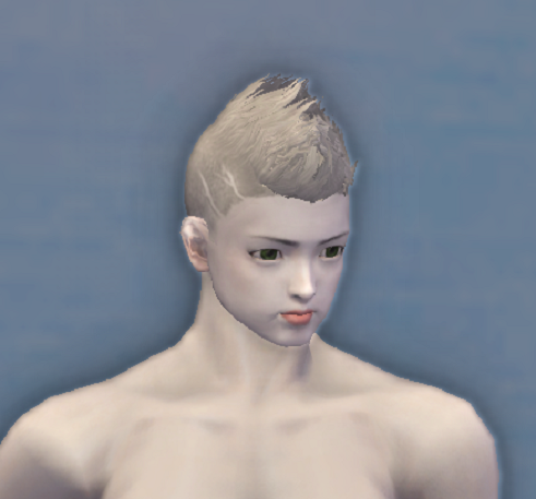 [Hair Change Ticket] Mohawk Style - 169800052