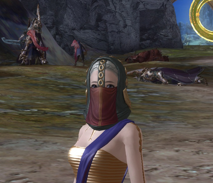 NPC ID Reian Plate Head - 125002644