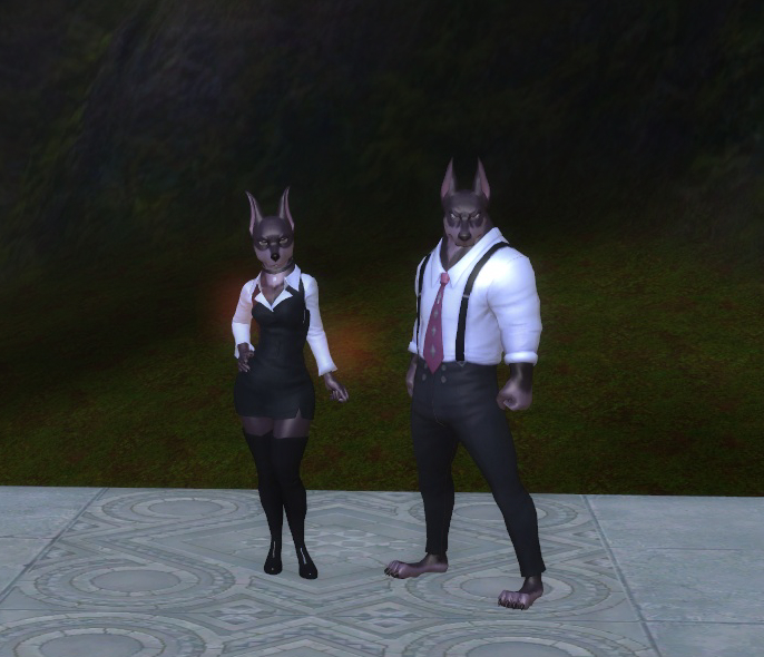 Wise Doberman Form Candy (ely) - 160020404