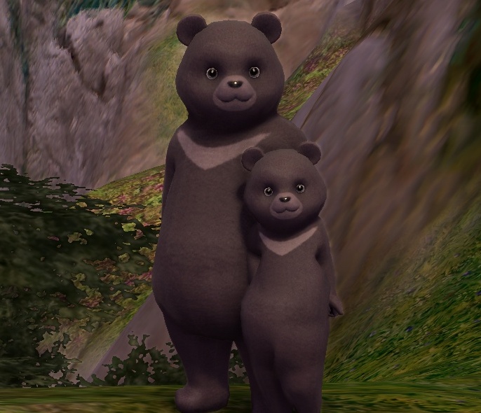 Dignified Himalayan Teddy Form Candy - 160020511