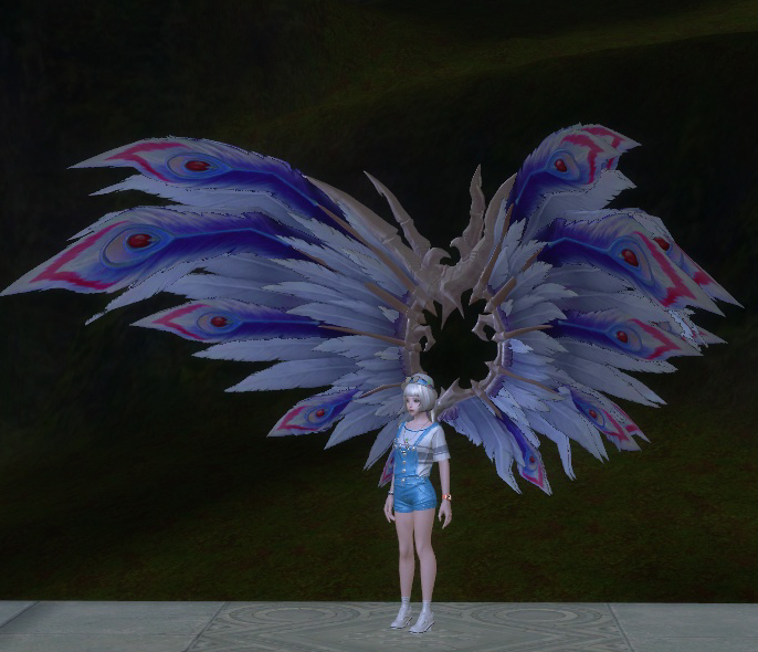 Peacock Wings (elyos) - 187065033