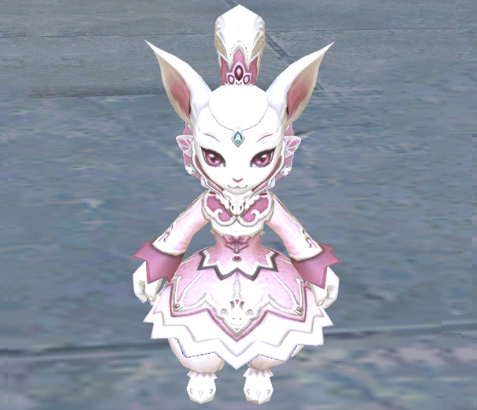Royal Kitter Egg (30 days) - 190020220