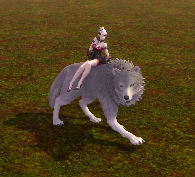 Direwolf Summer - 190100853