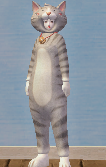 Classy Gray Cat Set - 188052521