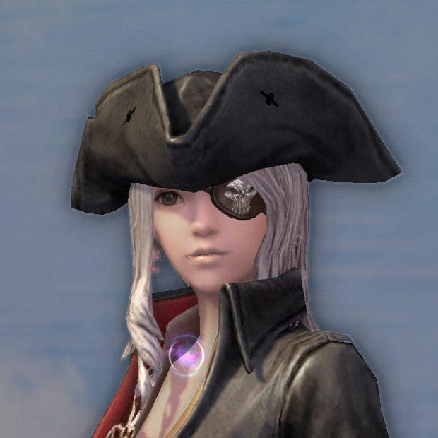 Pirate Captain's Topper - 125045196