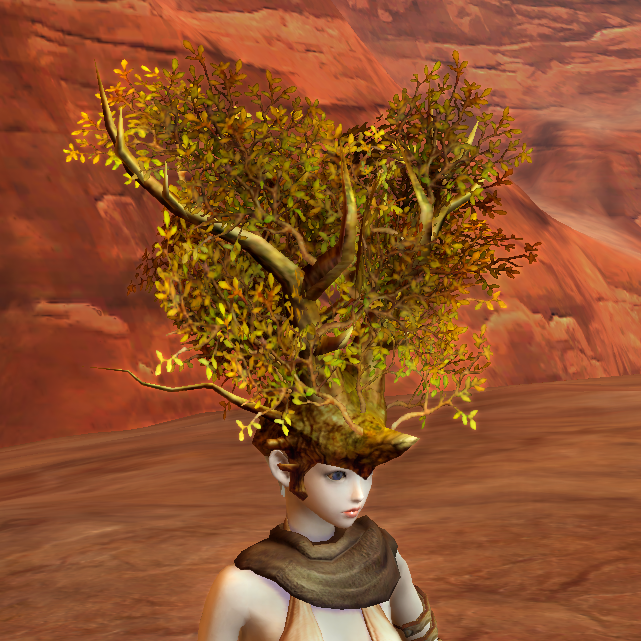 Agrint Hat - 125040118
