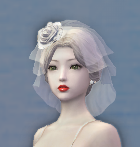 Elegant Veil - 125045262