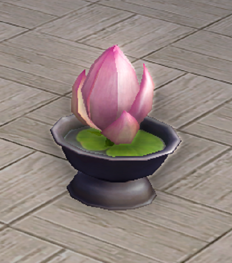 Eastern Thourak Guestbloom - 170190076