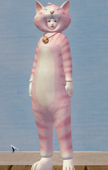 Lovely Pink Cat Set - 188052520