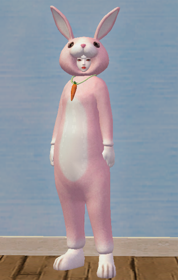 Lovely Pink Rabbit Set - 188052522