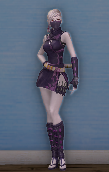 Shadow Wraith Armor - 110900384