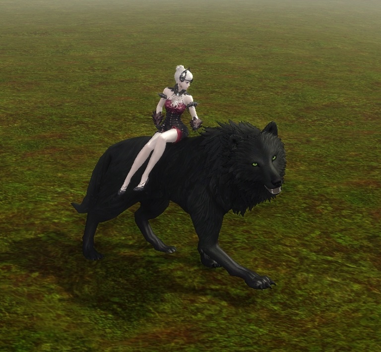 Direwolf Shaggydog - 190100850