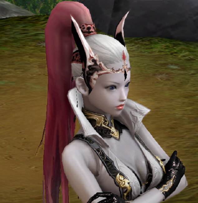 NPC Fortuneers Leather Helm - 125002468