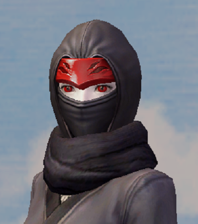 Shadow Wraith Mask - 125045112