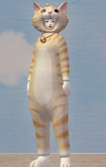 Cute Cat Set - 188052516