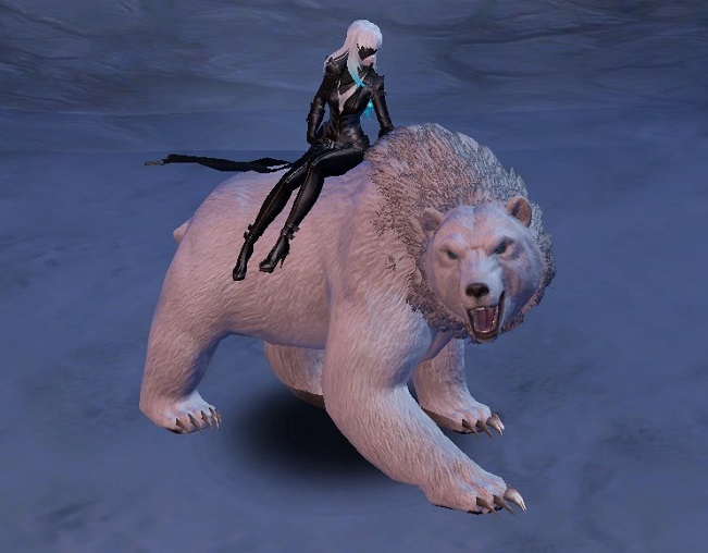 Solorius Bear - 190101131