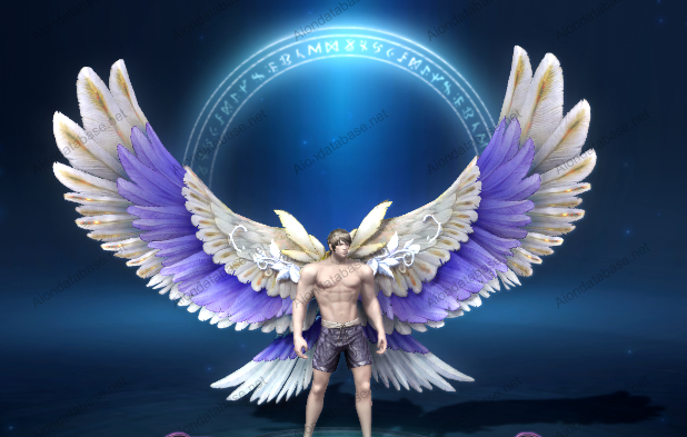 Wing Test Quest 01 - 187000044